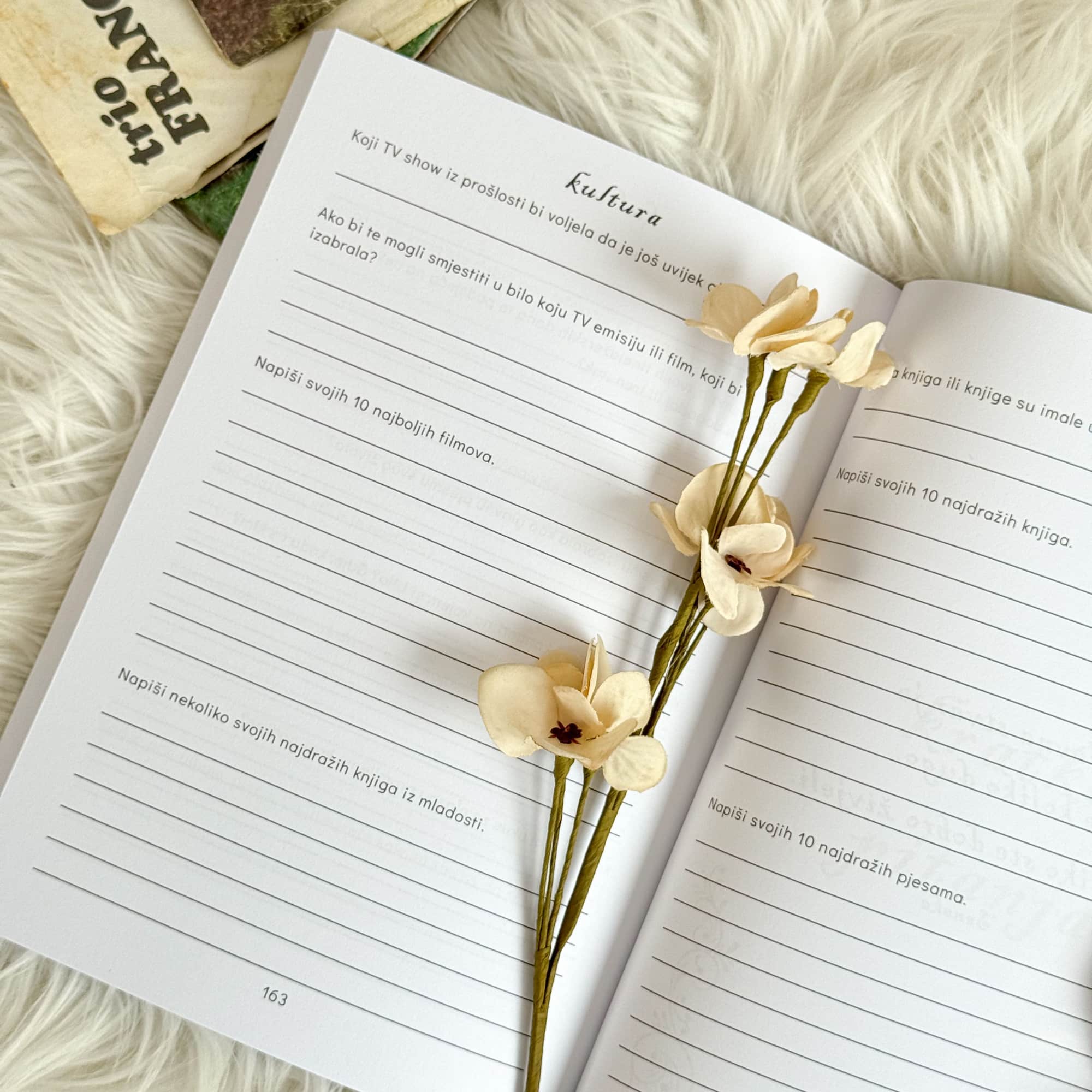 Bako, neka tvoja priča bude vječna (meki uvez)