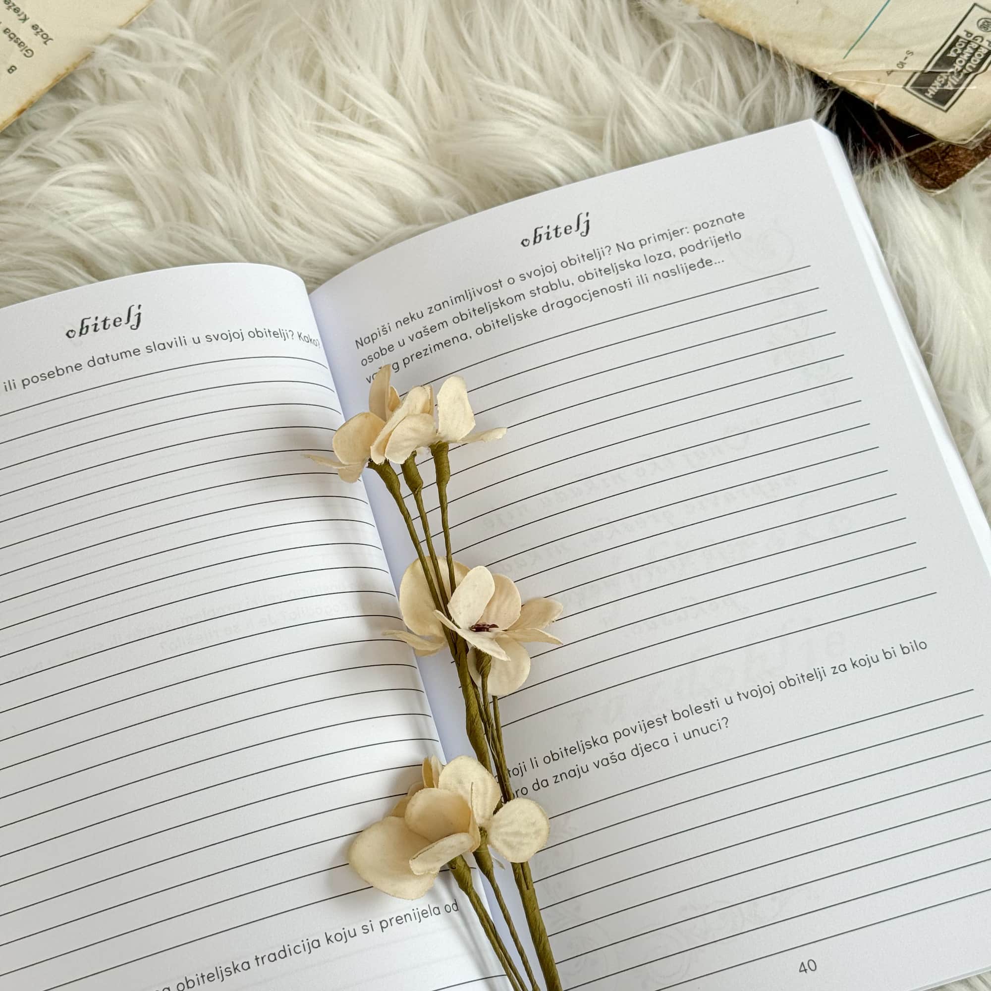 Bako, neka tvoja priča bude vječna (meki uvez)